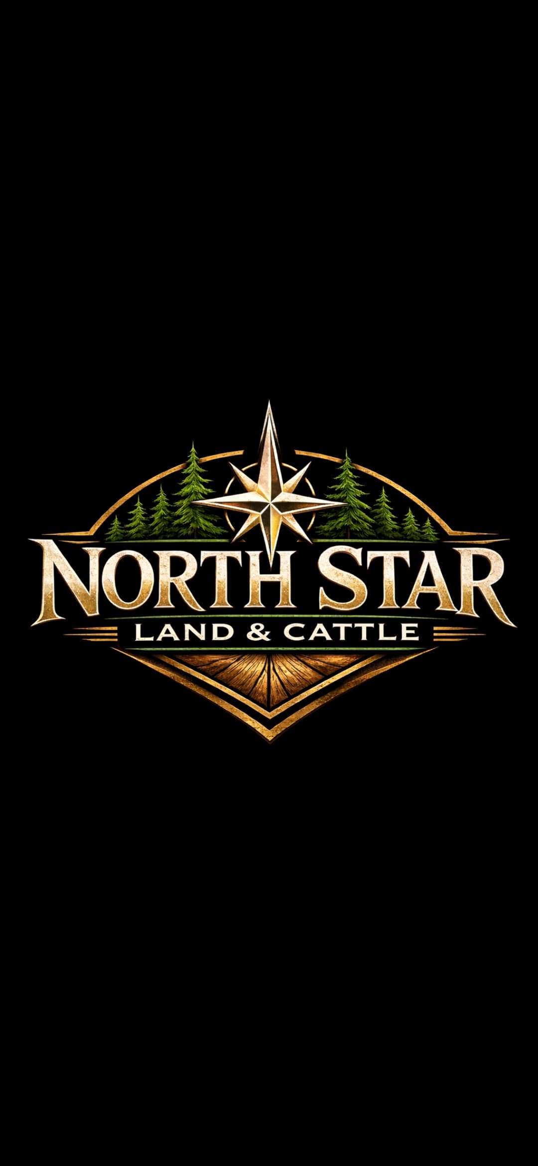 North Star Land & Cattle Ltd. landscape