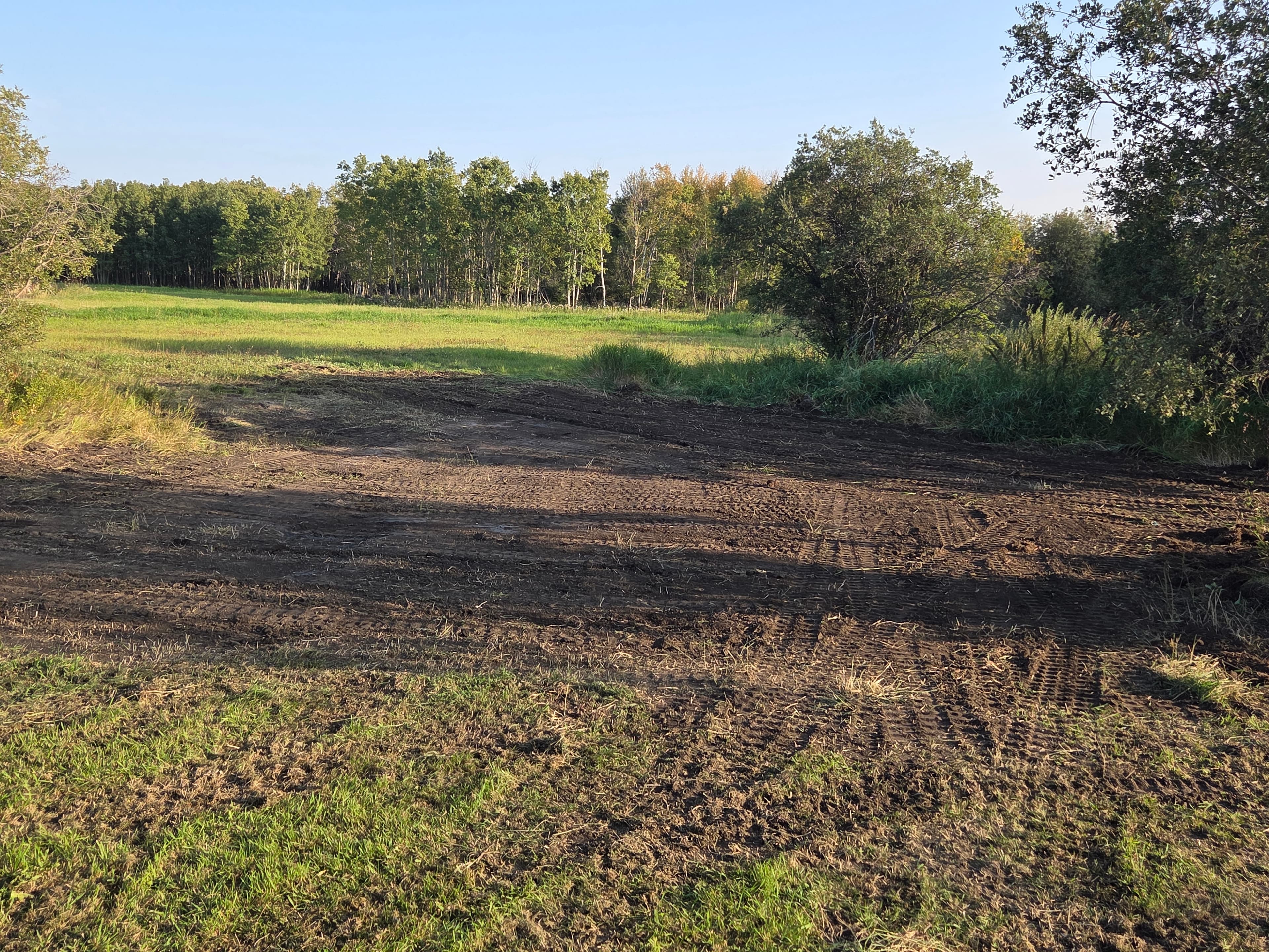 Dark tilled soil with tire tracks in a grassy field bordered by dense trees.