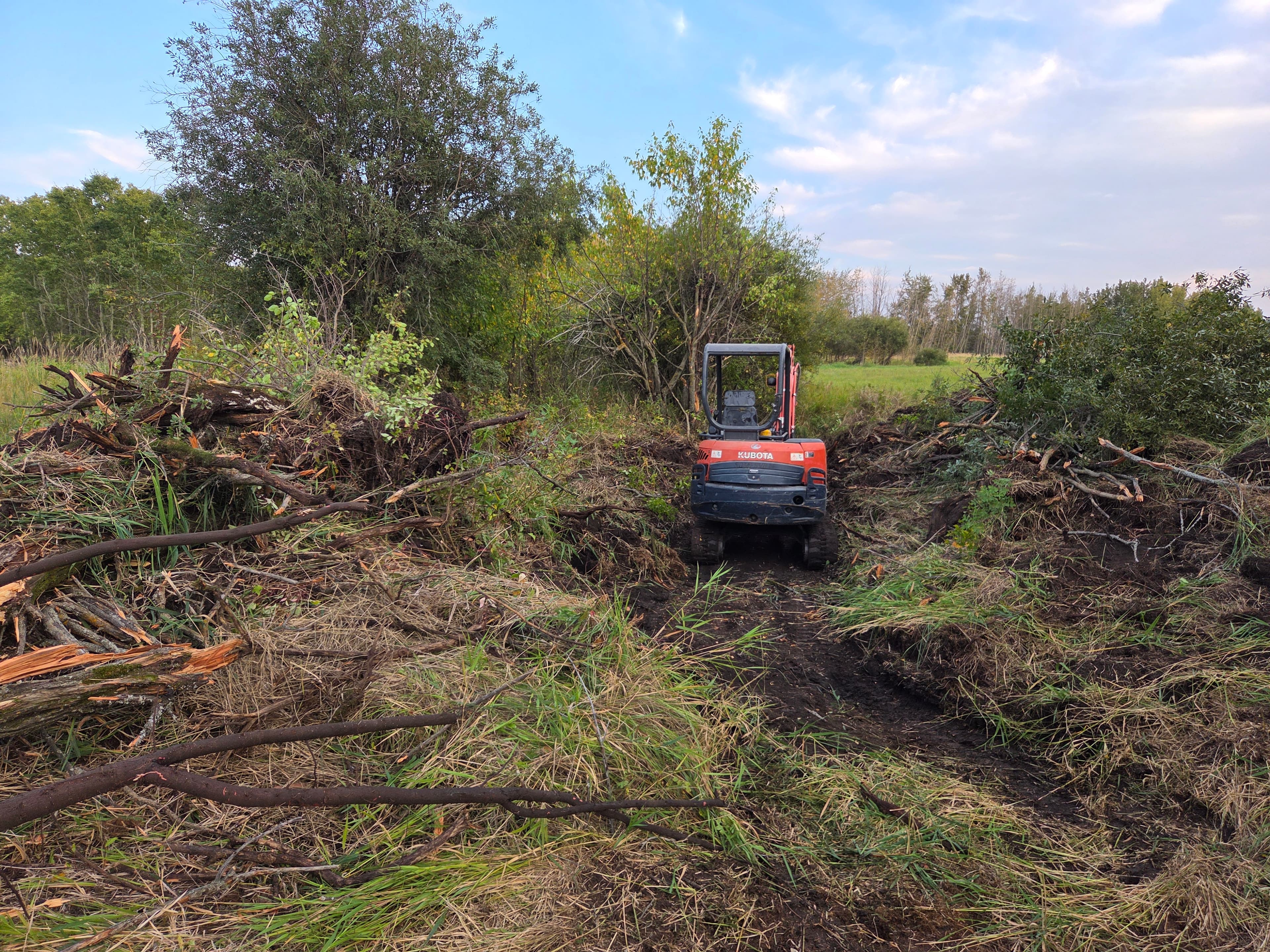 Orange Kubota mini excavator clearing a path through piles of brush in a rural field.