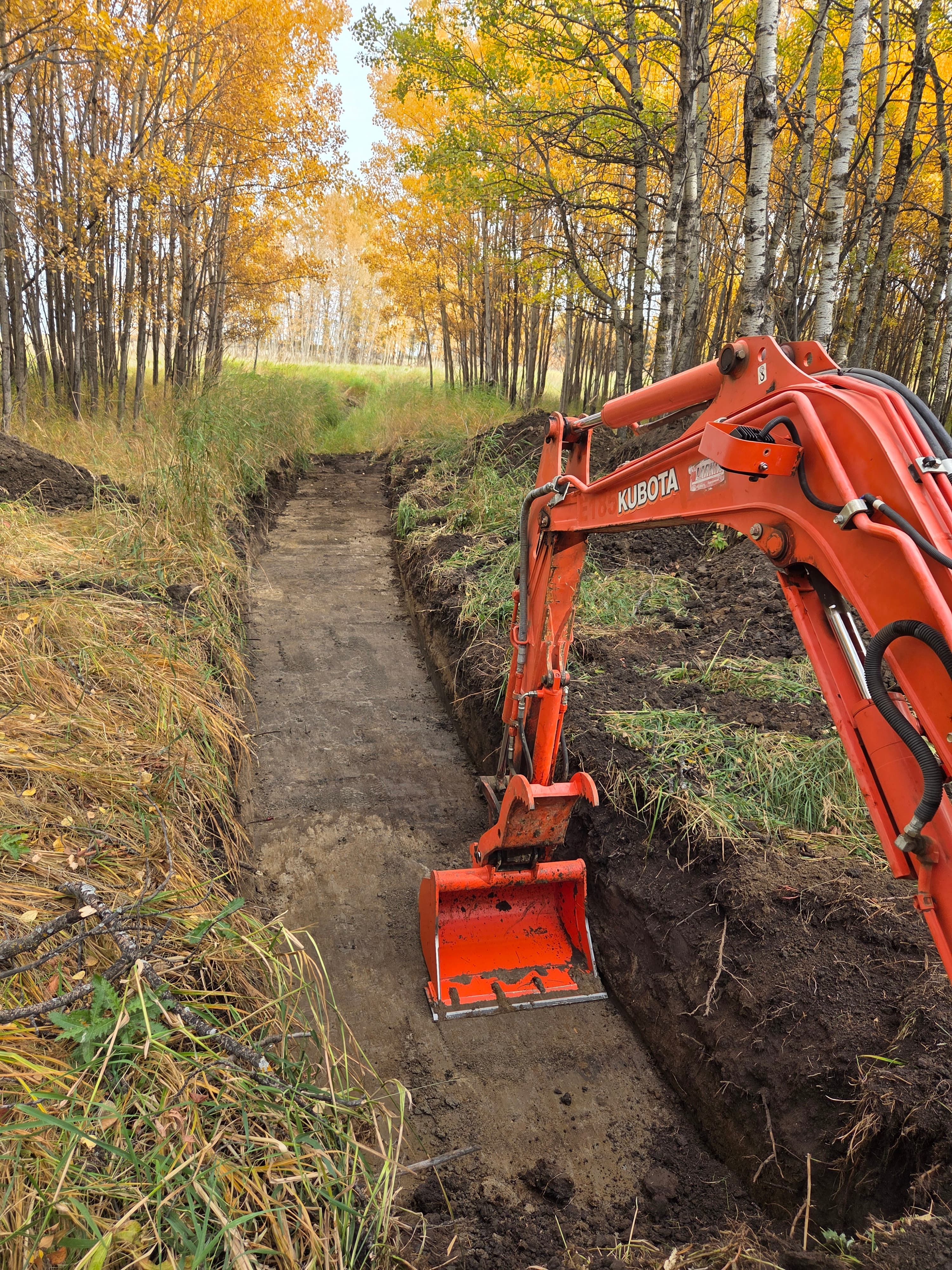 Orange Kubota excavator digging a narrow trench beside a forest with yellow autumn leaves.